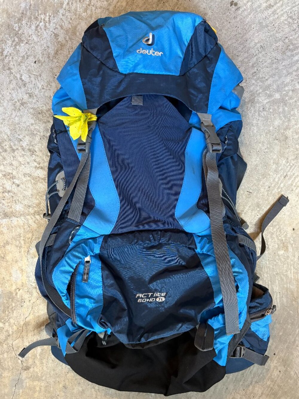 Deuter ACT Lite 60+10 SL Women's Hiking Backpacking Pack, Blue, Aqua